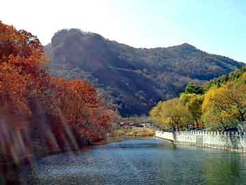 新澳天天开奖资料大全旅游团，新龙seo建站